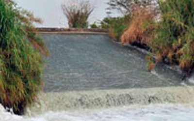 Valores de calidad del agua en 2015 reflejan niveles alarmantes