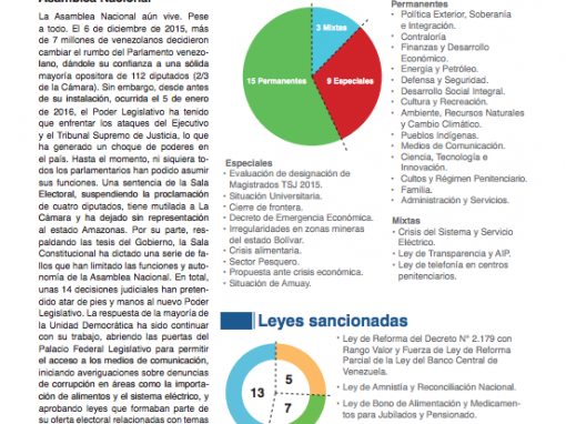 Los cinco primeros meses de la Asamblea Nacional