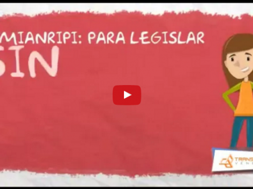 ¿para qué sirve la Asamblea Nacional?