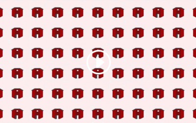 Misión Barrio Adentro. Salud sin remedio