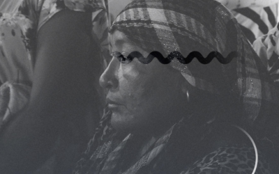 Zulia Bajo Excepción