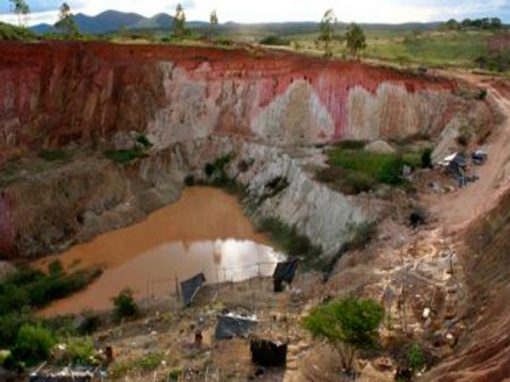 La fiebre del oro arrasa la selva