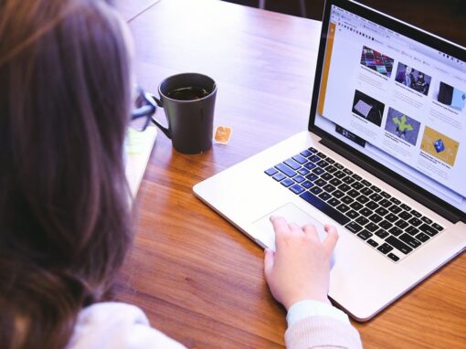 Acceso a la información todo el Multimedia