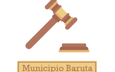 Ordenanza de Transparencia y Acceso a la Información Pública: Municipio Baruta