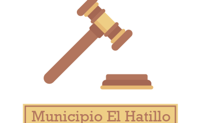 Ordenanza de Transparencia y Acceso a la Información Pública: Municipio El Hatillo