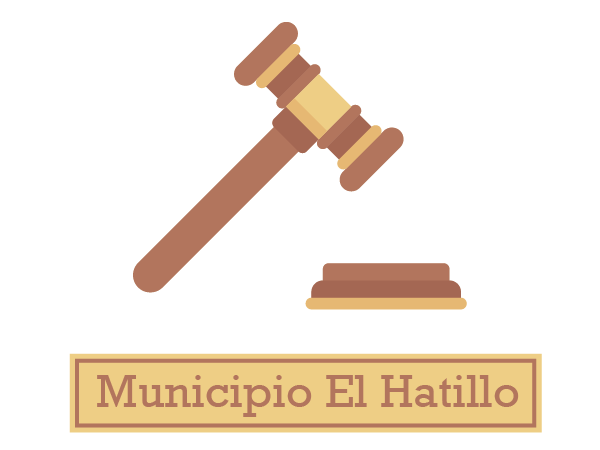 Ordenanza de Transparencia y Acceso a la Información Pública: Municipio El Hatillo