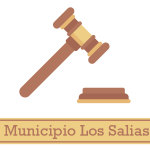 Ordenanza de Transparencia y Acceso a la Información Pública: Municipio Los Salias