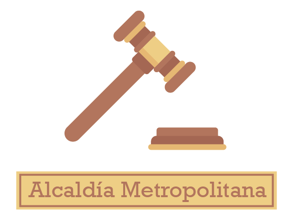 Ordenanza de Transparencia y Acceso a la Información Pública: Alcaldía Metropolitana