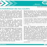 La inviabilidad de los CLAPs