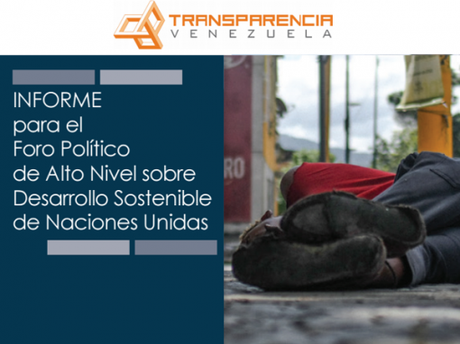 Informe para el Foro Político de Alto Nivel sobre Desarrollo sotenible de las Naciones Unidas