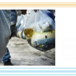 Mariela Magallanes: «Los CLAP incentivan el negocio de la corrupción»