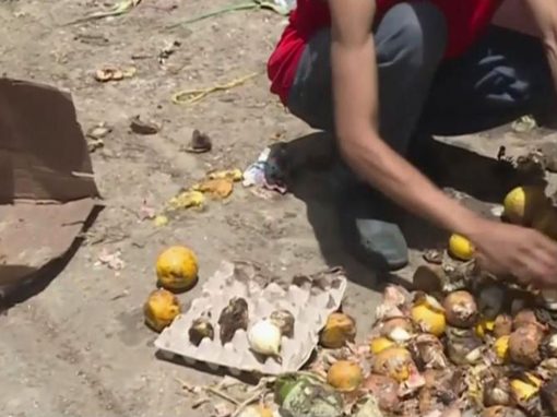 Bases de Misiones ¿Método para erradicar la pobreza extrema?