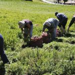 Comisión de Finanzas aprobó en segunda discusión la Ley de Producción Nacional