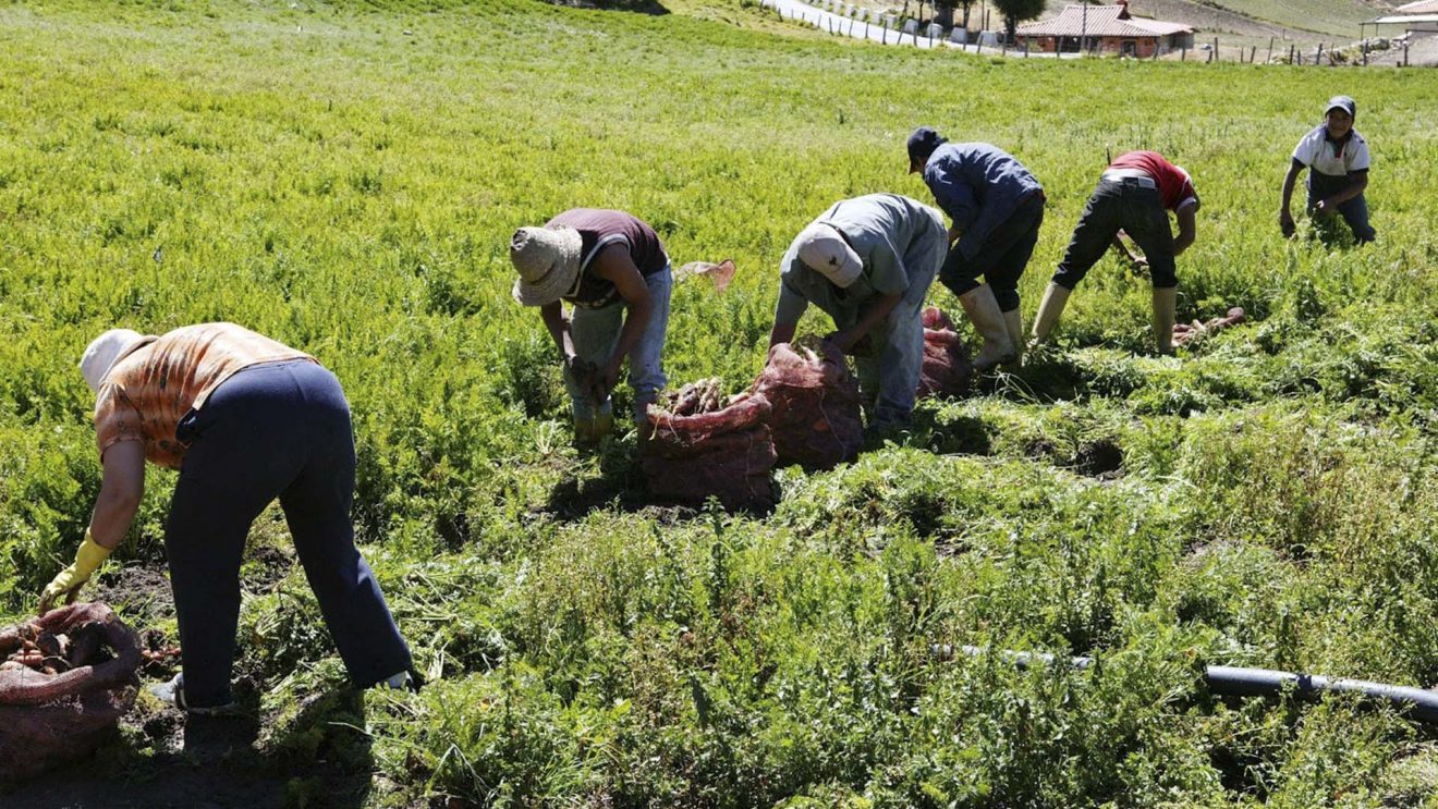 Comisión de Finanzas aprobó en segunda discusión la Ley de Producción Nacional