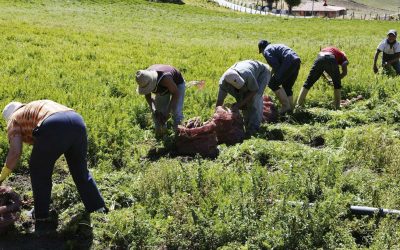 Comisión de Finanzas aprobó en segunda discusión la Ley de Producción Nacional