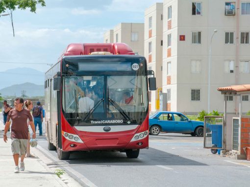 V Informe trimestral