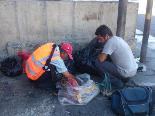«Esta comida… es para los perros»