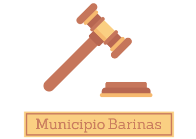 Ordenanza de Transparencia y Acceso a la Información Pública: BarinasF