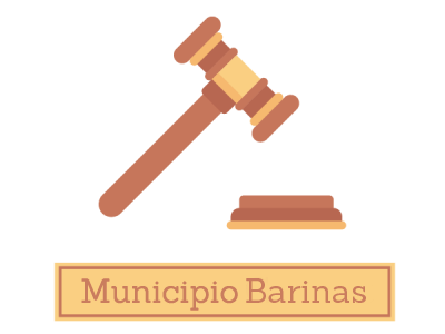 Ordenanza de Transparencia y Acceso a la Información Pública: BarinasF