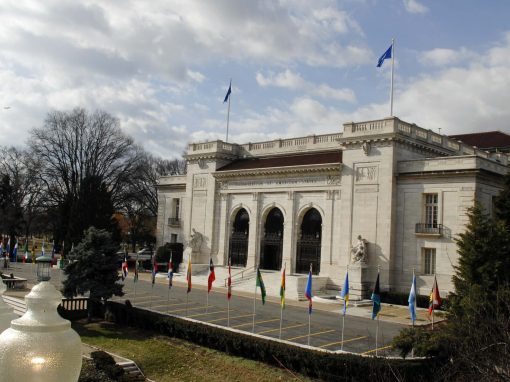 Denunciamos ante la CIDH criminalización de las ONG por solicitar activación de Carta Democrática