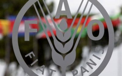 El hambre en Venezuela: Más allá del informe de la FAO