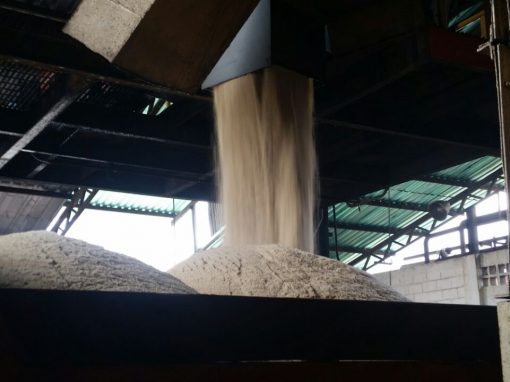 Centrales azucareros estatales son incapaces de garantizar el acceso oportuno y permanente del producto como prometió el presidente Chávez