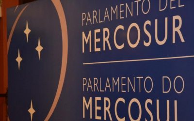 Diputados elevan denuncias por irregularidades en la entrega de pasaportes al Parlasur