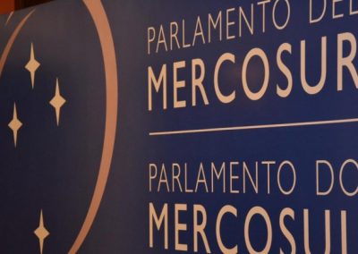 Diputados elevan denuncias por irregularidades en la entrega de pasaportes al Parlasur