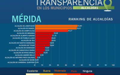 Existe alto riesgo de corrupción en alcaldías y concejos municipales de Mérida