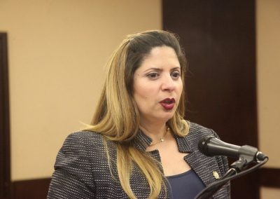 Comisión de Administración y Servicios denunció pérdida de 20 mil millones de dólares en sector eléctrico