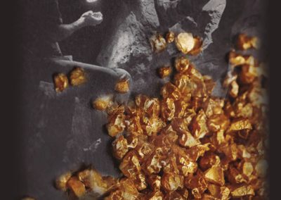 Oro mortal: entre el crimen organizado, el ecocidio y la corrupción