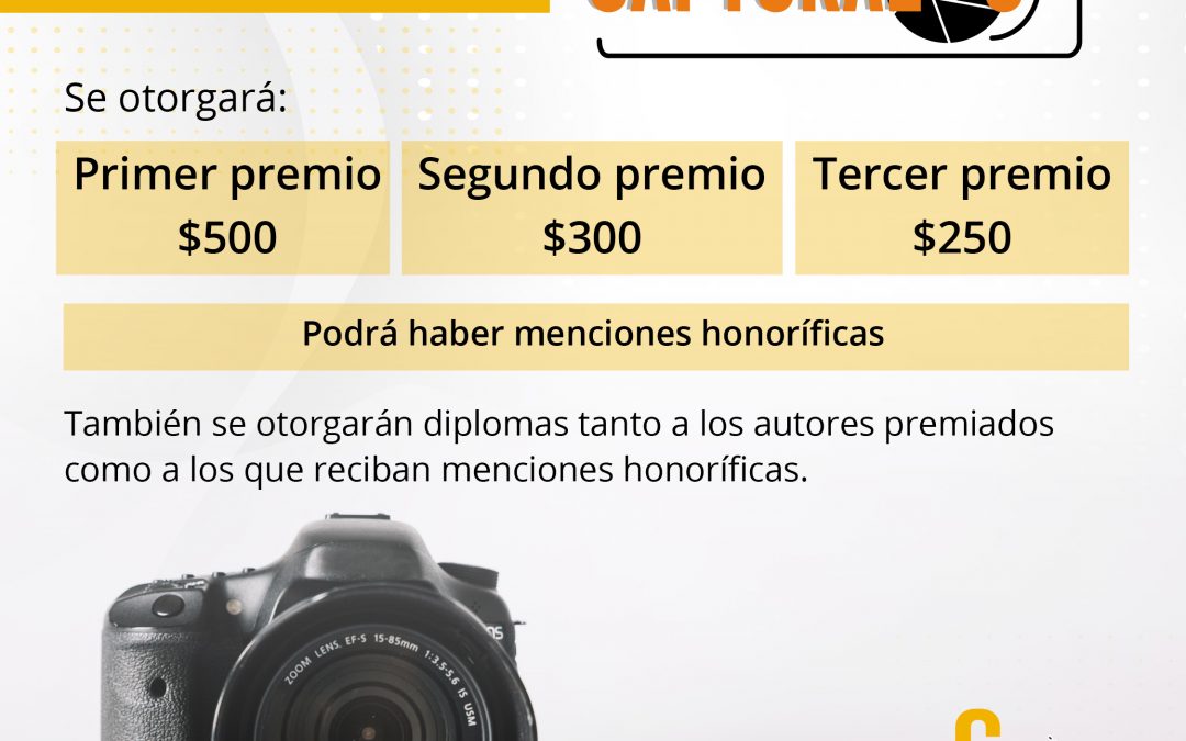 Captúralos, Transparencia Venezuela lanza un concurso de fotografía para retratar la corrupción