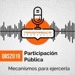 Participación Pública