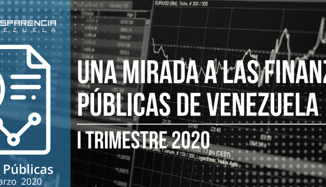 2020 | Una mirada a las finanzas públicas