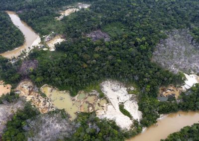 Conoce Ecocidio, la responsabilidad de la corrupción