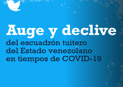 Caida del escuadron tuitero – El auge ficticio de la versión oficial