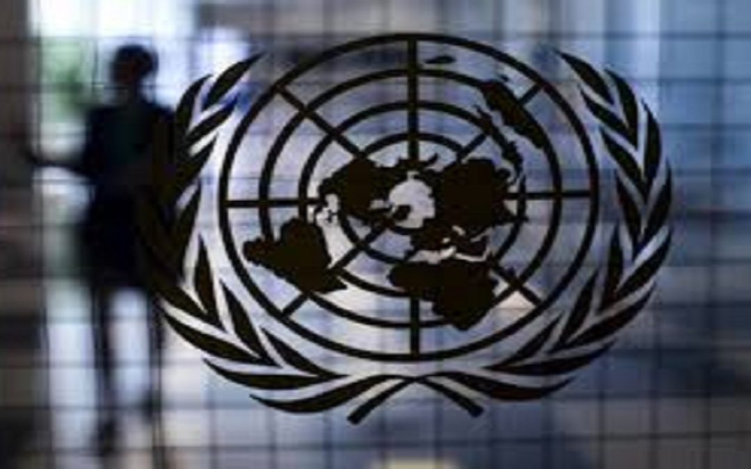 ONG de derechos humanos se anotan un tanto en la ONU